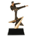 Karate, Male, Star Power Sport Resins - 7"